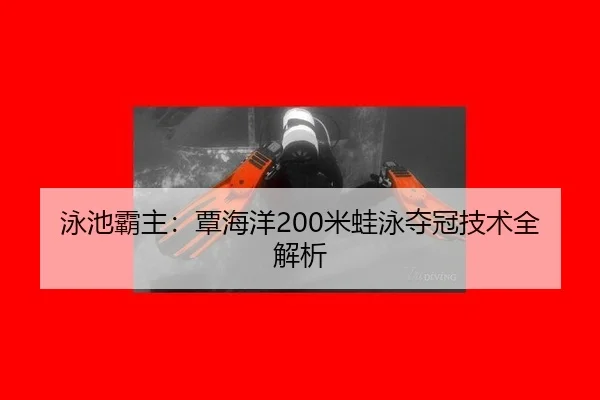 yong-chi-ba-zhu-tan-hai-yang-mi-wa-yong-duo-guan-ji-shu-quan-jie-xi-3-669.jpg