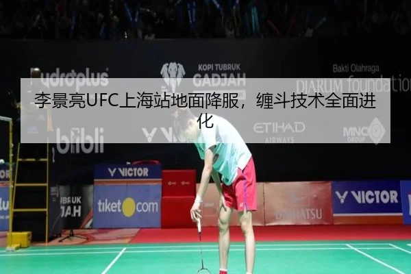 李景亮UFC上海站地面降服，缠斗技术全面进化